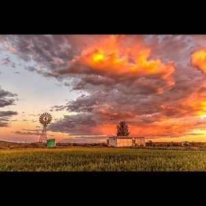 Meet your Posher, Benno